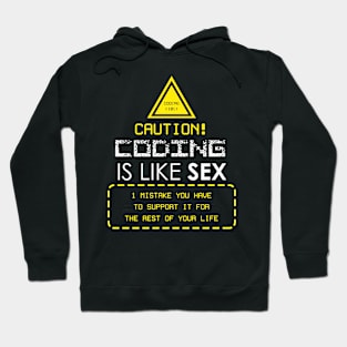 Coding is like Sex Hoodie